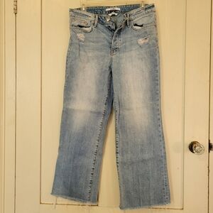 Cropped button down jeans Sam elelman